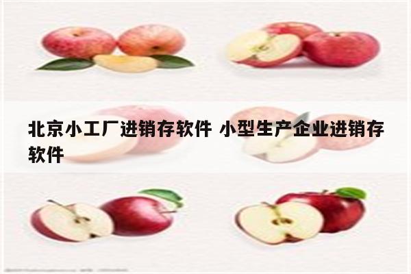 北京小工厂进销存软件 小型生产企业进销存软件