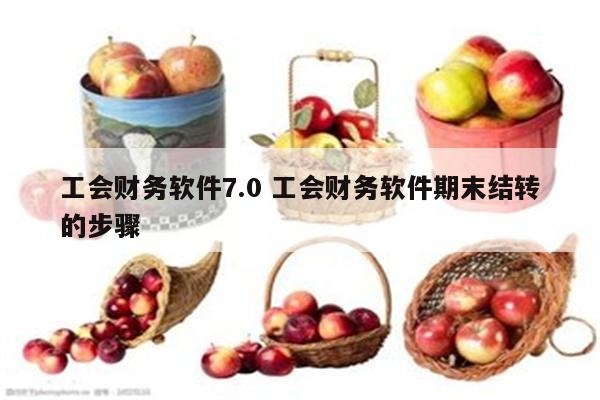 工会财务软件7.0 工会财务软件期末结转的步骤