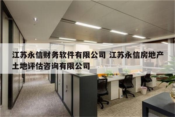 江苏永信财务软件有限公司 江苏永信房地产土地评估咨询有限公司