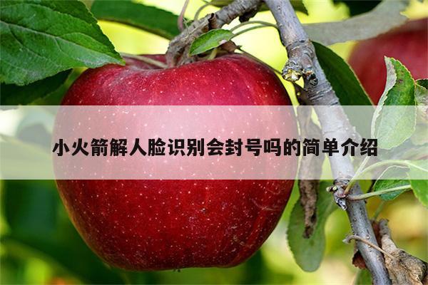 小火箭解人脸识别会封号吗的简单介绍