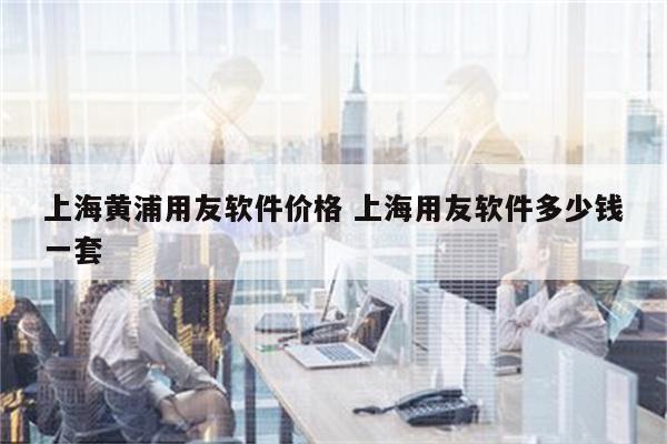 上海黄浦用友软件价格 上海用友软件多少钱一套