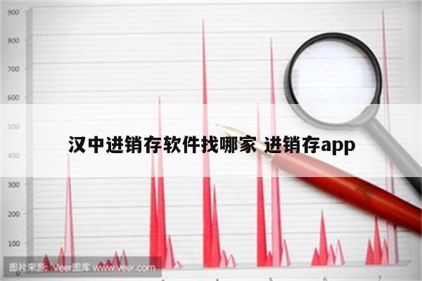 汉中进销存软件找哪家 进销存app