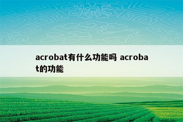 acrobat有什么功能吗 acrobat的功能