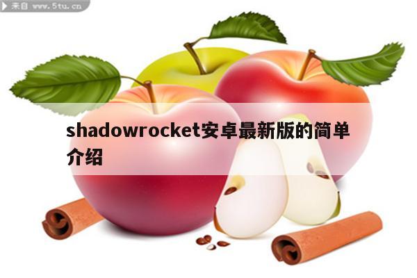 shadowrocket安卓最新版的简单介绍