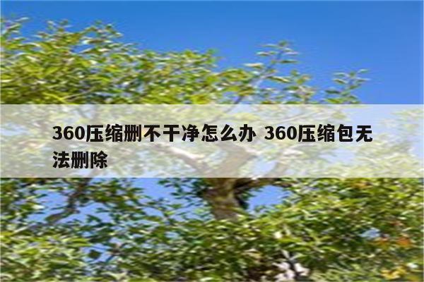 360压缩删不干净怎么办 360压缩包无法删除