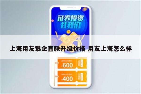 上海用友银企直联升级价格 用友上海怎么样