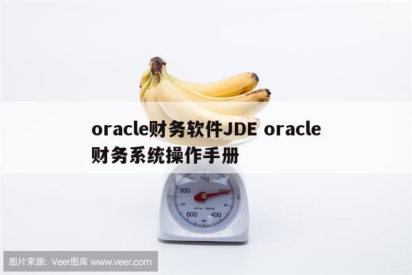 oracle财务软件JDE oracle财务系统操作手册