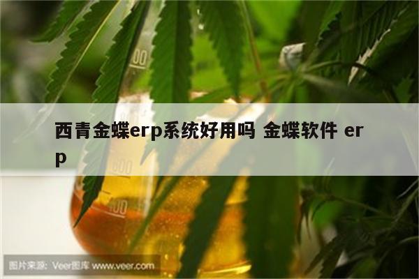 西青金蝶erp系统好用吗 金蝶软件 erp