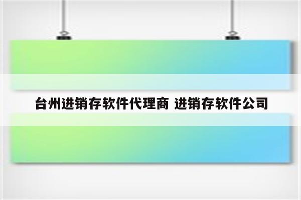 台州进销存软件代理商 进销存软件公司