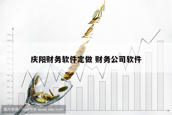庆阳财务软件定做 财务公司软件