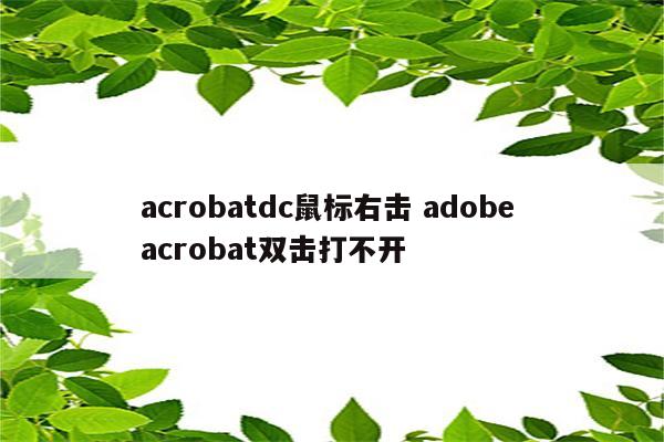 acrobatdc鼠标右击 adobe acrobat双击打不开