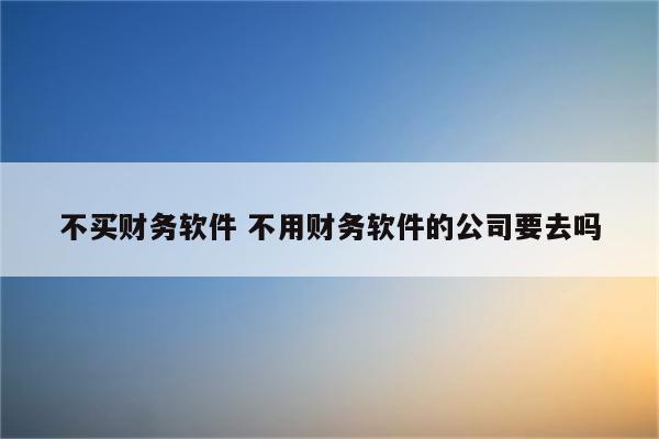 不买财务软件 不用财务软件的公司要去吗
