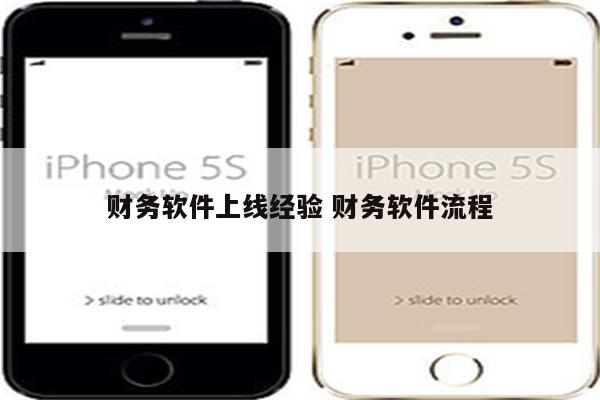 财务软件上线经验 财务软件流程