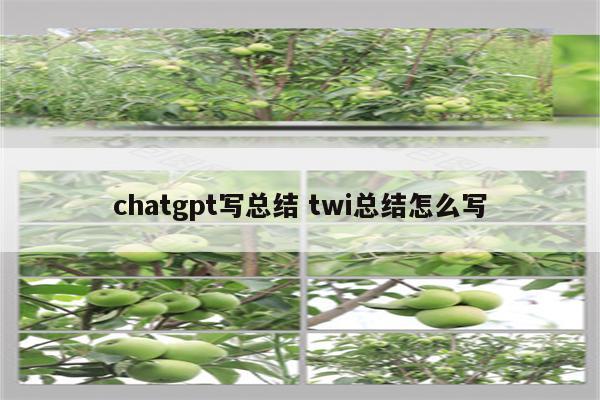 chatgpt写总结 twi总结怎么写