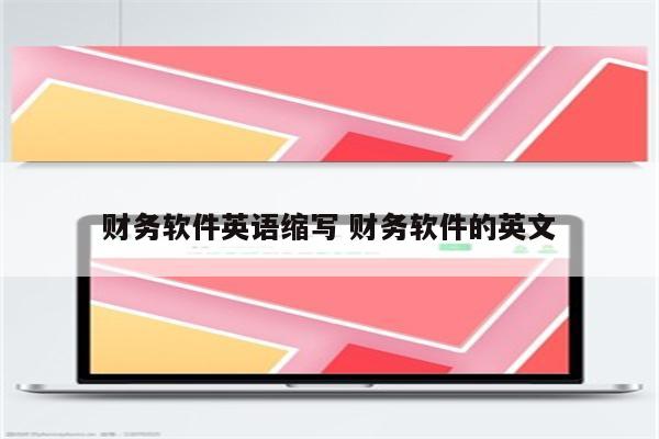 财务软件英语缩写 财务软件的英文