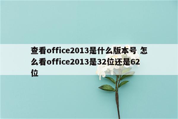查看office2013是什么版本号 怎么看office2013是32位还是62位