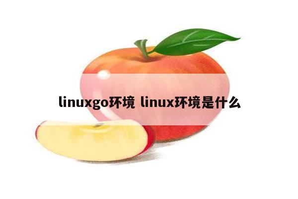 linuxgo环境 linux环境是什么