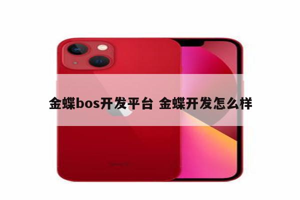 金蝶bos开发平台 金蝶开发怎么样