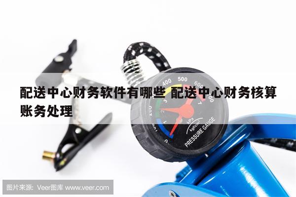 配送中心财务软件有哪些 配送中心财务核算账务处理