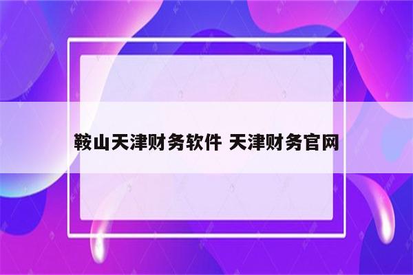 鞍山天津财务软件 天津财务官网