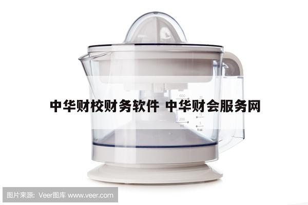 中华财校财务软件 中华财会服务网