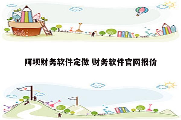 阿坝财务软件定做 财务软件官网报价