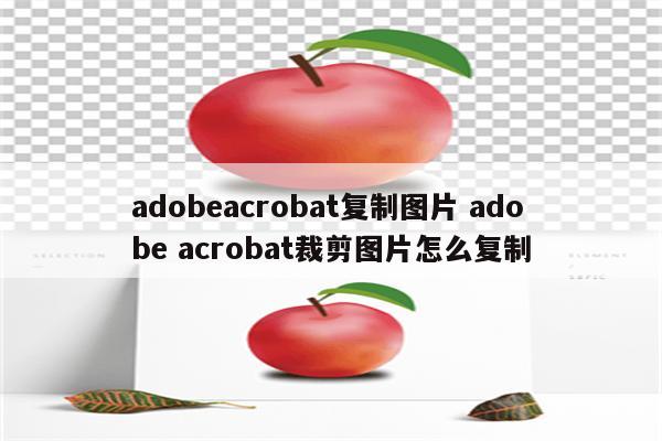 adobeacrobat复制图片 adobe acrobat裁剪图片怎么复制