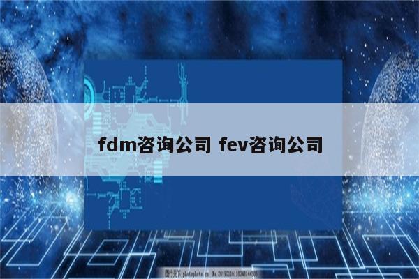 fdm咨询公司 fev咨询公司