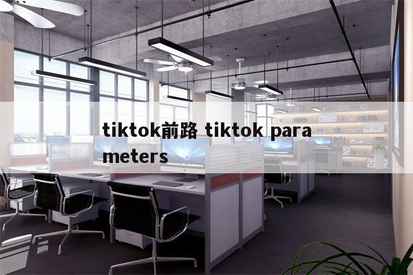tiktok前路 tiktok parameters