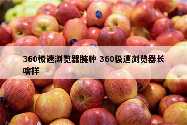 360极速浏览器臃肿 360极速浏览器长啥样