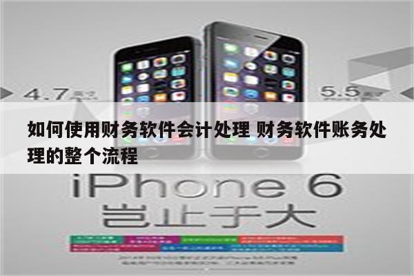 如何使用财务软件会计处理 财务软件账务处理的整个流程