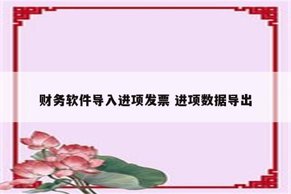 财务软件导入进项发票 进项数据导出