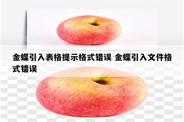 金蝶引入表格提示格式错误 金蝶引入文件格式错误