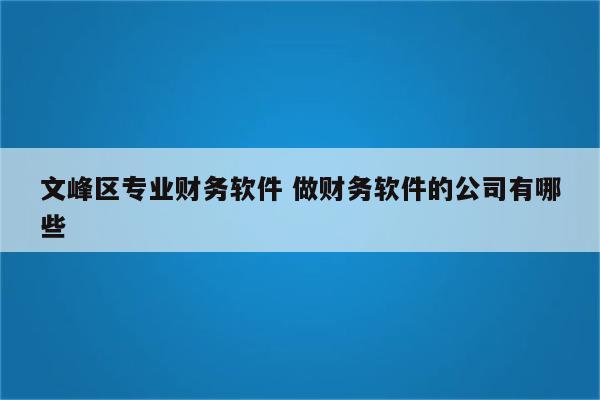 文峰区专业财务软件 做财务软件的公司有哪些