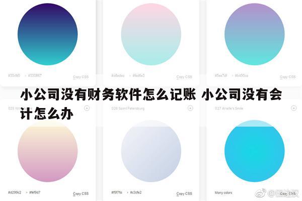 小公司没有财务软件怎么记账 小公司没有会计怎么办