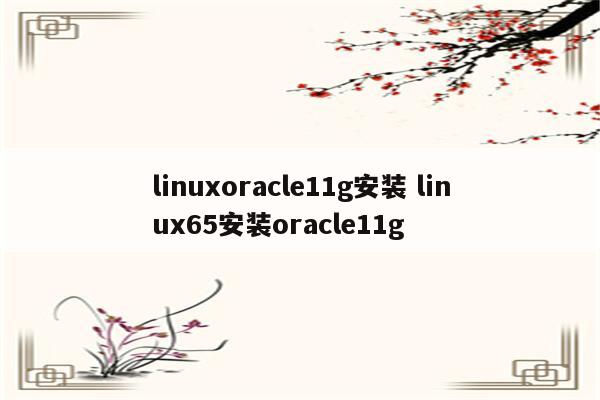 linuxoracle11g安装 linux65安装oracle11g