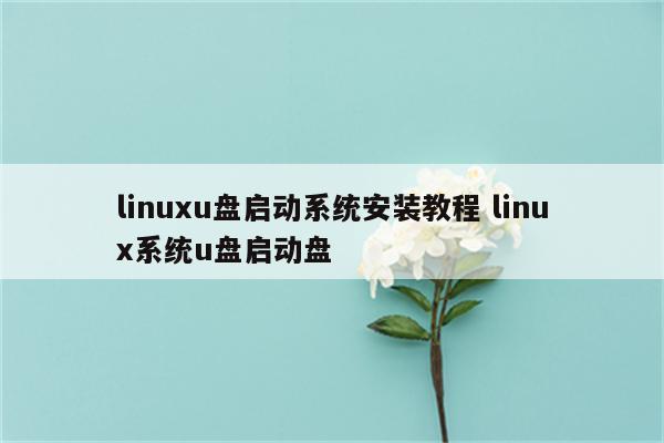 linuxu盘启动系统安装教程 linux系统u盘启动盘