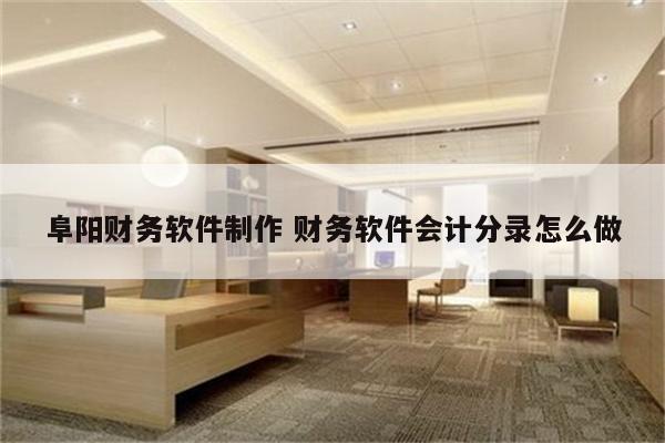 阜阳财务软件制作 财务软件会计分录怎么做