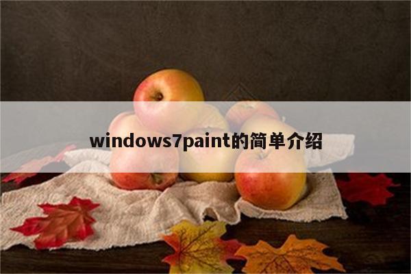 windows7paint的简单介绍