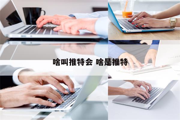 啥叫推特会 啥是推特