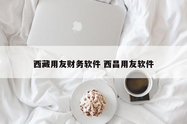 西藏用友财务软件 西昌用友软件