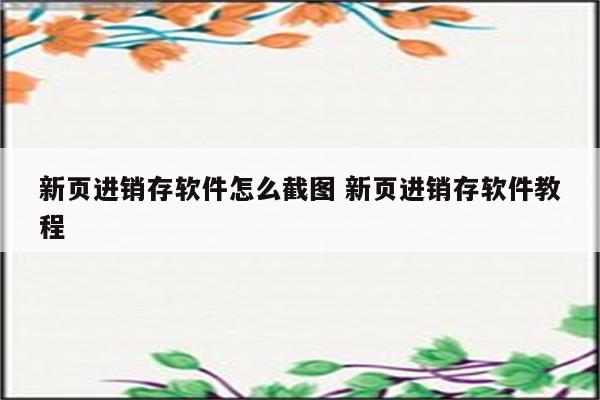 新页进销存软件怎么截图 新页进销存软件教程