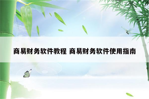 商易财务软件教程 商易财务软件使用指南