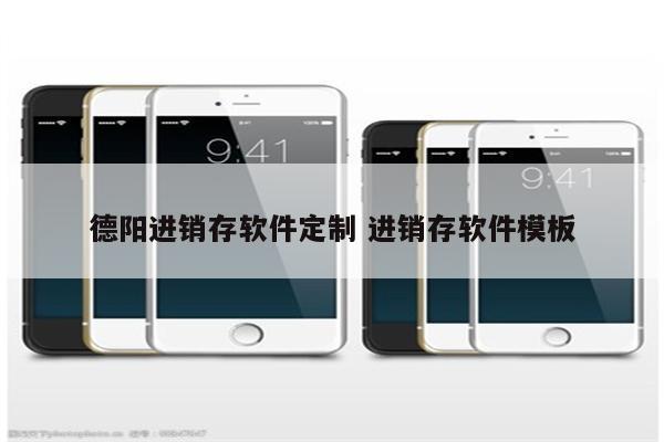 德阳进销存软件定制 进销存软件模板