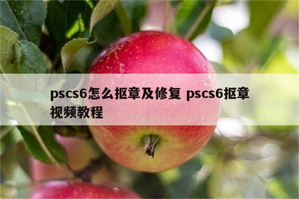 pscs6怎么抠章及修复 pscs6抠章视频教程