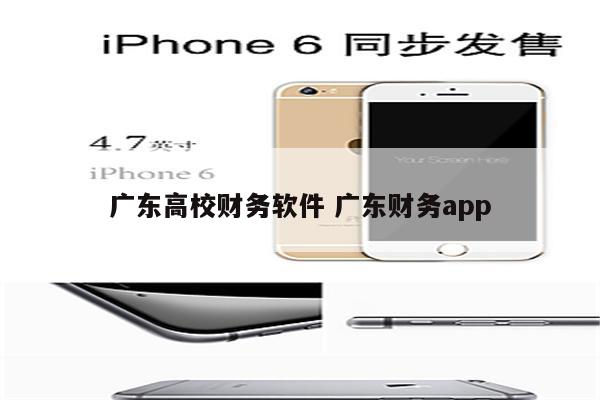 广东高校财务软件 广东财务app