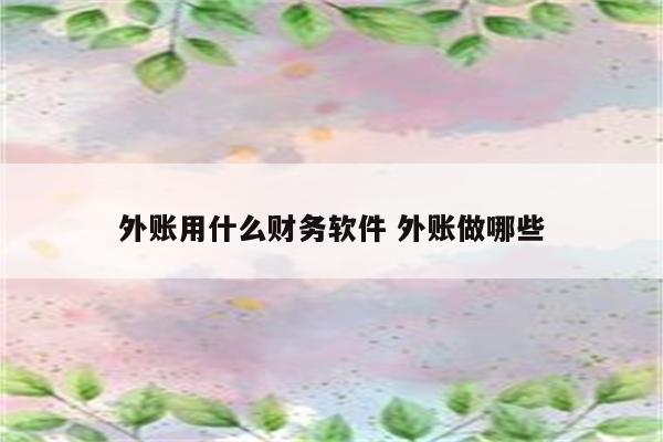 外账用什么财务软件 外账做哪些