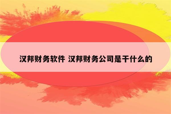 汉邦财务软件 汉邦财务公司是干什么的