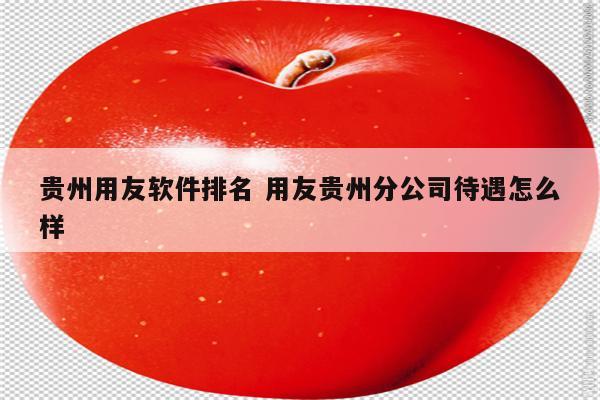 贵州用友软件排名 用友贵州分公司待遇怎么样