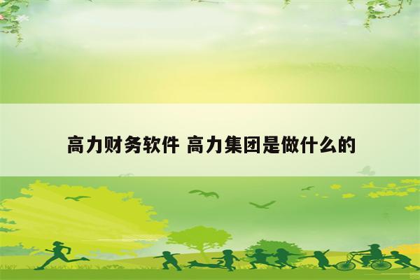 高力财务软件 高力集团是做什么的